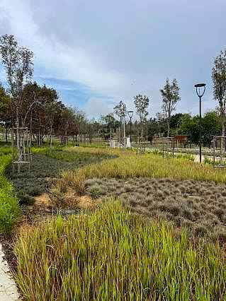 Millet Bahçesi Faaliyetlerimizi Görmek İçin Tıklayın!